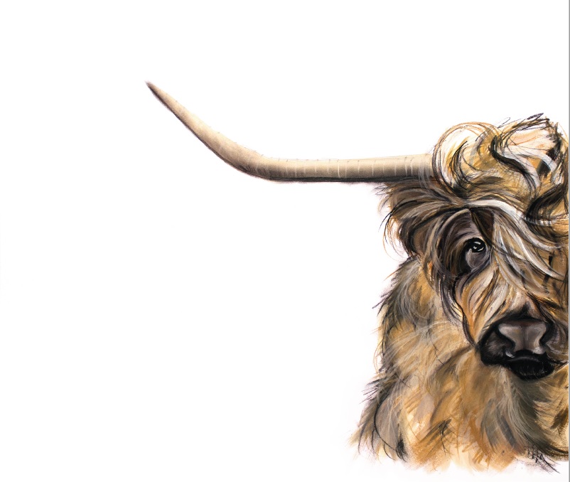 'Highland Cow' by artist Rebecca Kelly